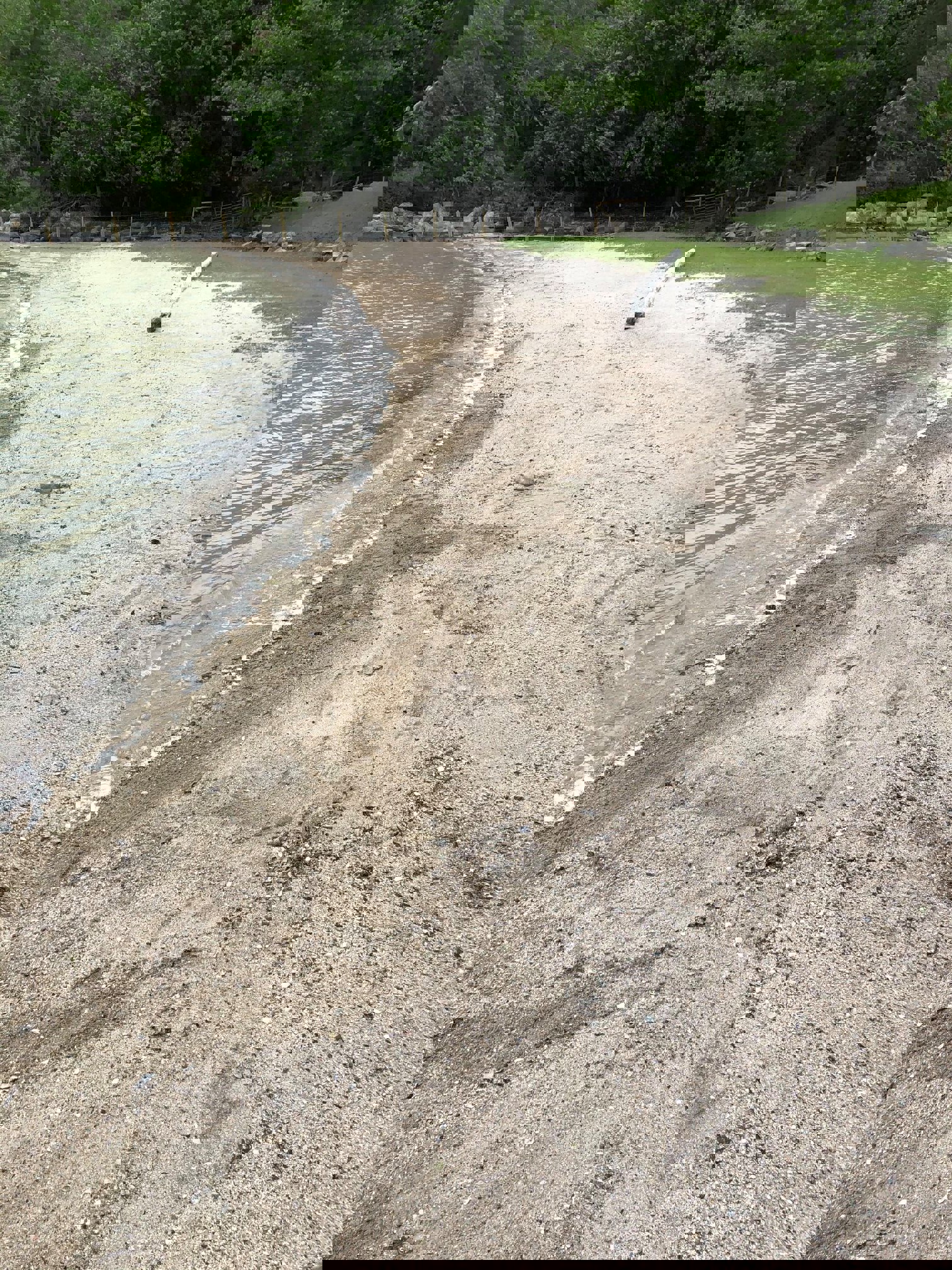 Strandrydding i Risør