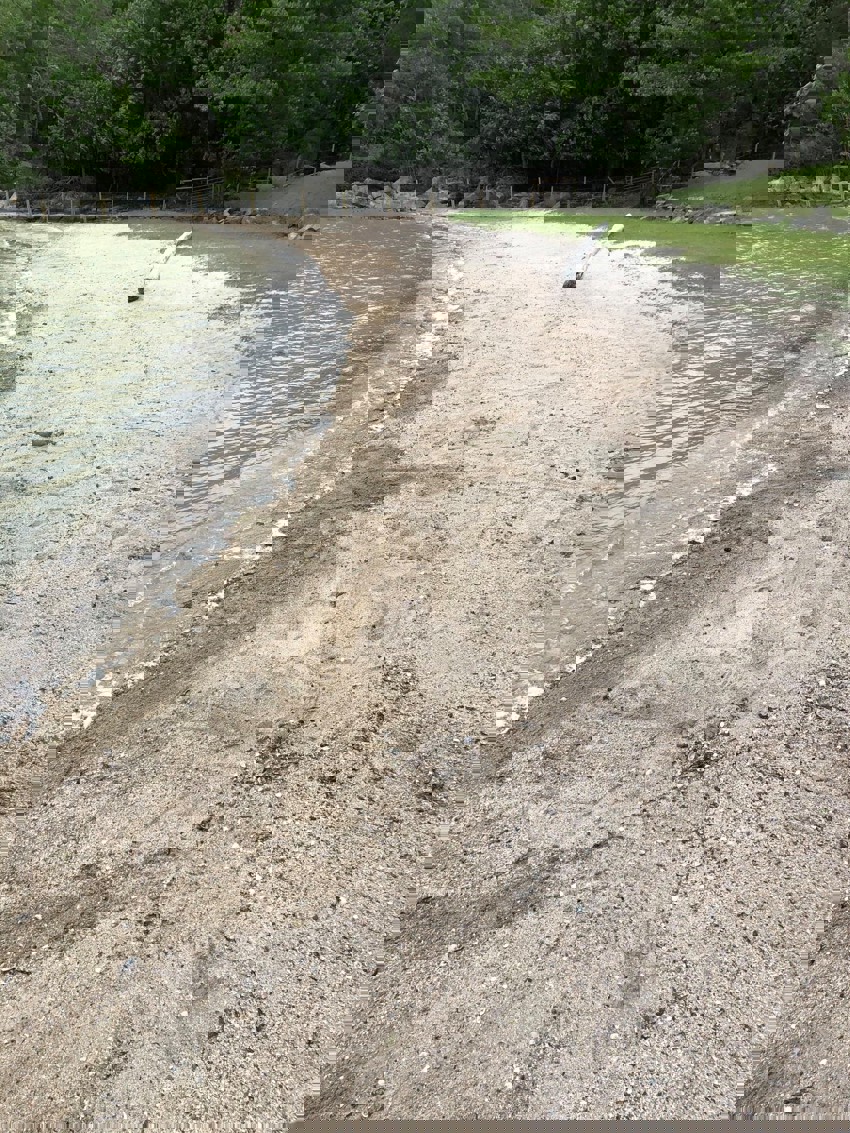 Strandrydding i Risør