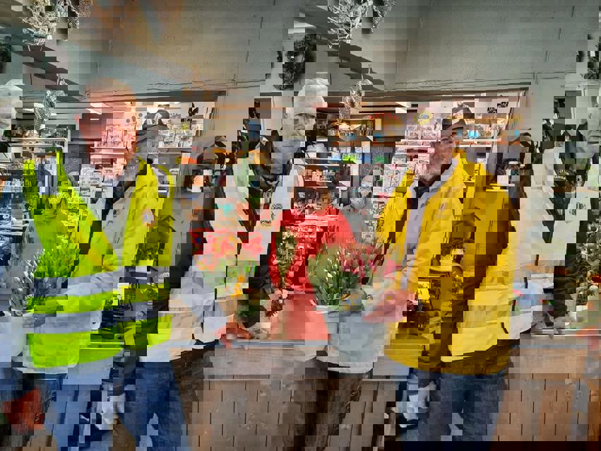 Tulipansalg 24. april